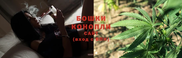 дурь Арсеньев