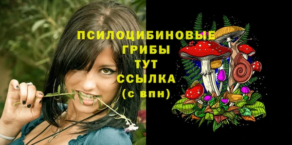 дурь Арсеньев