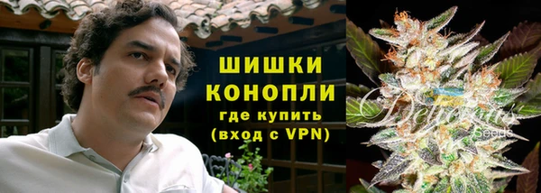 дурь Арсеньев